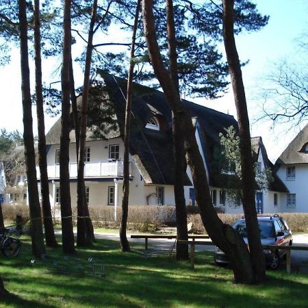 Zingst Achtern Diek 12D Elly Exterior photo