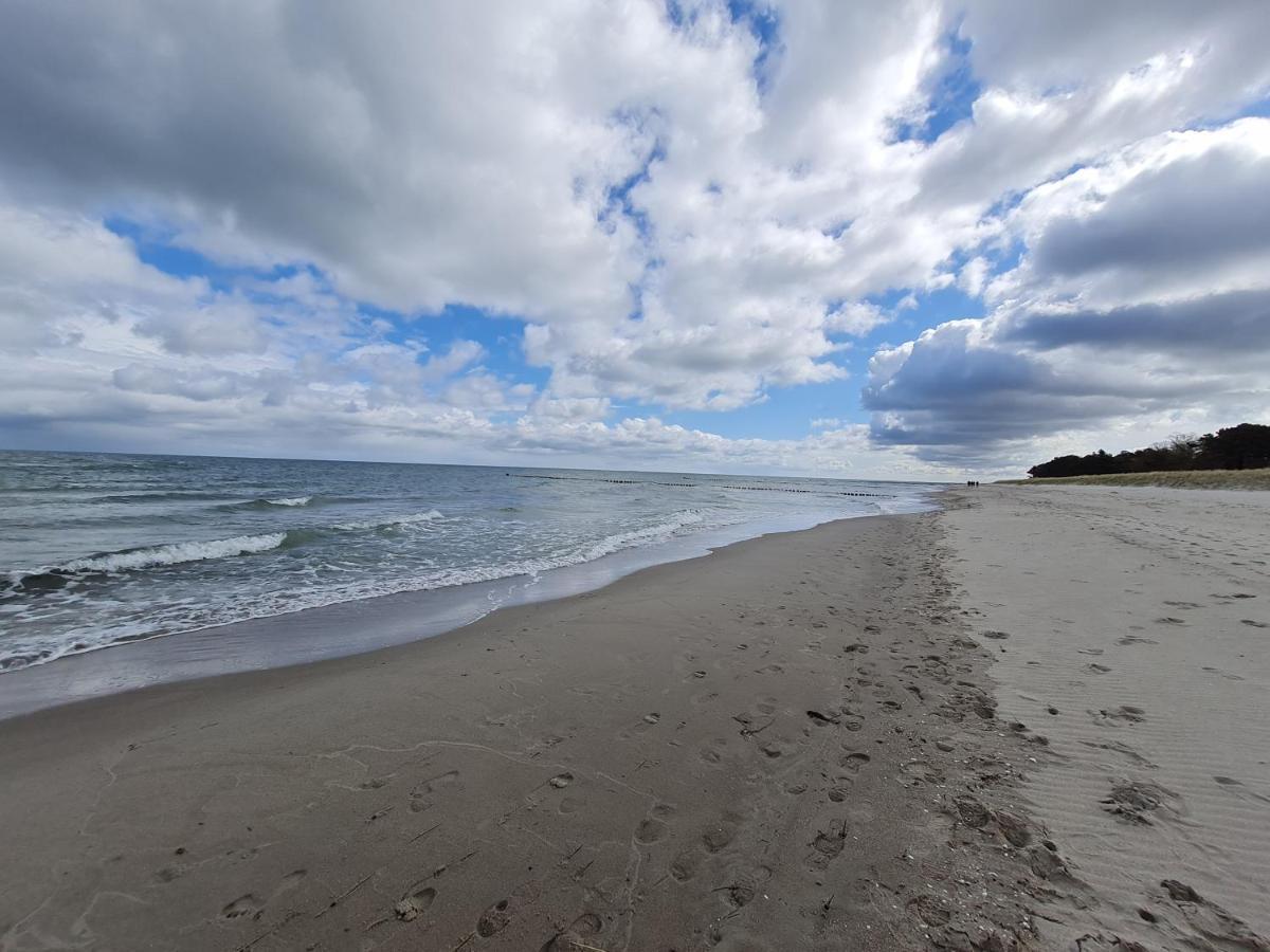 Zingst Achtern Diek 12D Elly Exterior photo